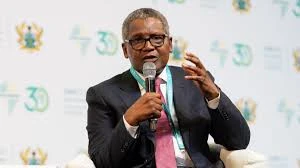 Dangote’s Malta Drama: Lessons for Nigerian Innovation