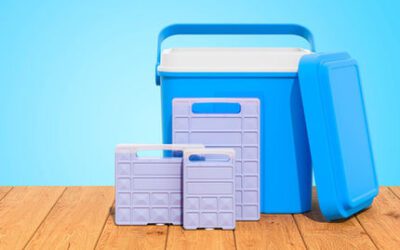 Cool Box vs. Mini Fridge: Which One Suits Your Lifestyle Better?