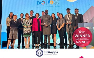 Koolboks Chronicles 2023: Chillin’ and Winning Awards Like A Boss!